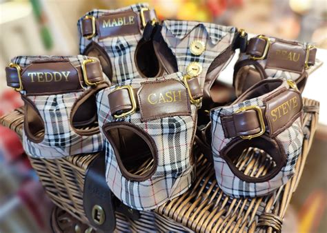 burberry print dog harness